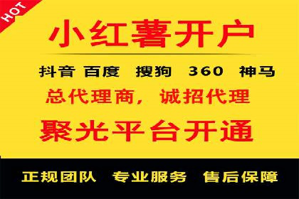 百度竞价排名服务：成功案例解析与优化策略